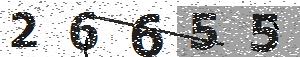 تصویر امنیتی